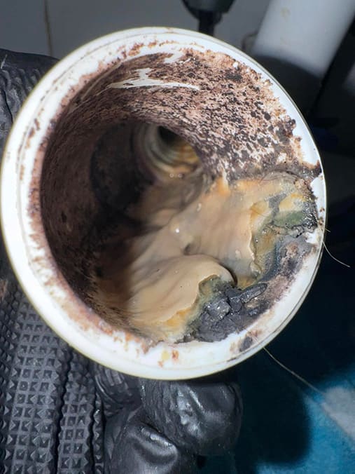 inside a garland drain pipe Swift Plumbing inside a garland drain pipe Swift Plumbing